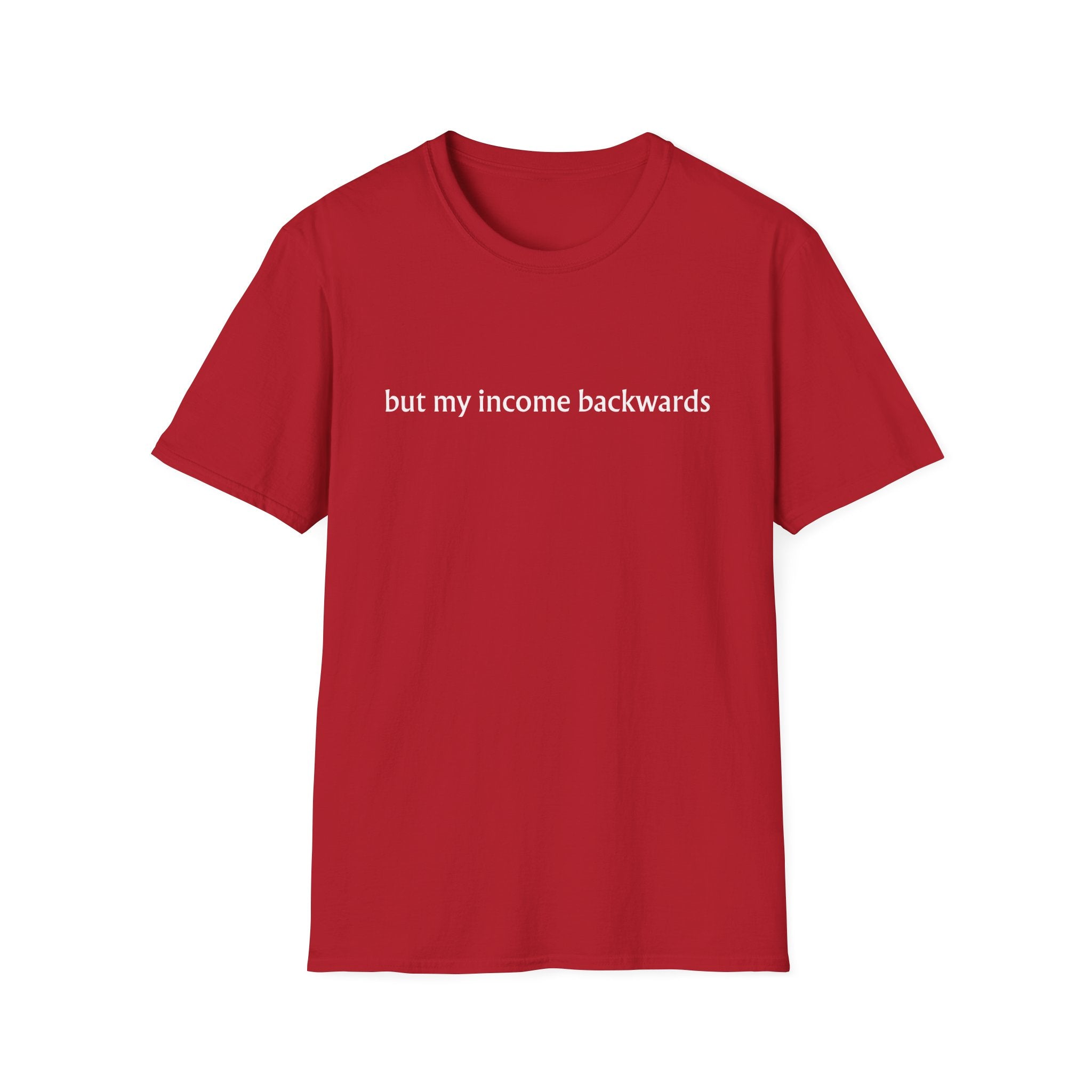 but my income T-Shirt